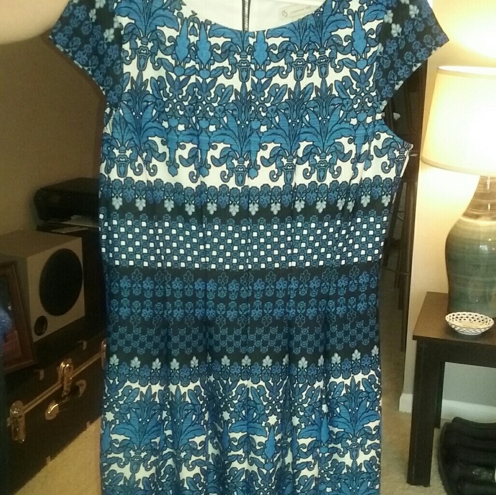 Dress Barn Dress!